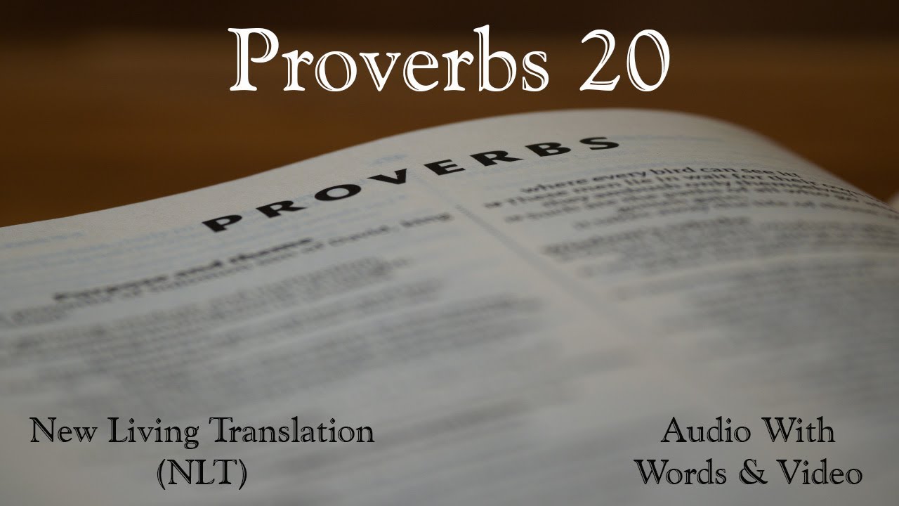 Proverbs 20 - Holy Bible - New Living Translation (NLT) Audio Bible With Video