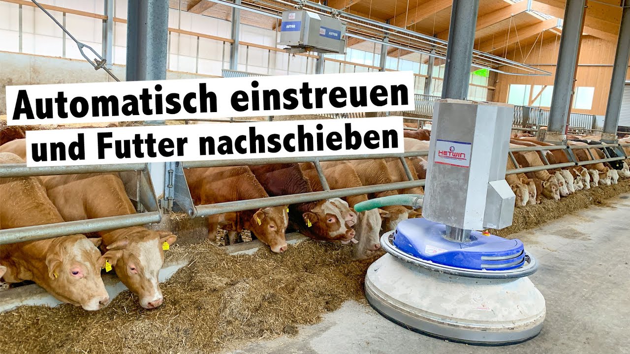 Bullenmastbetrieb Friesacher setzt auf Hetwin Einstreuroboter Astor und Futterschieber Stallboy