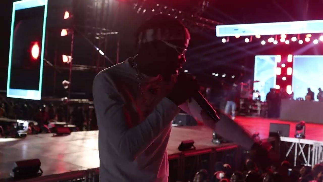 Danytwist live Performance on Timaya Day 4.0