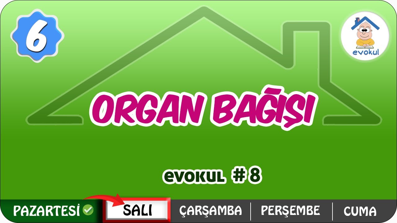 Organ Bağışı | 6. Sınıf #uzaktanegitim #evokul Kampı