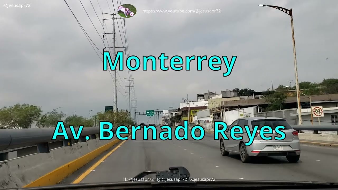 Monterrey - Av. Bernardo Reyes