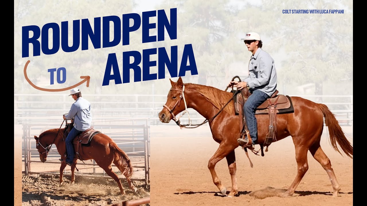 How I transitioned from the roundpen to the arena - Colt Staring