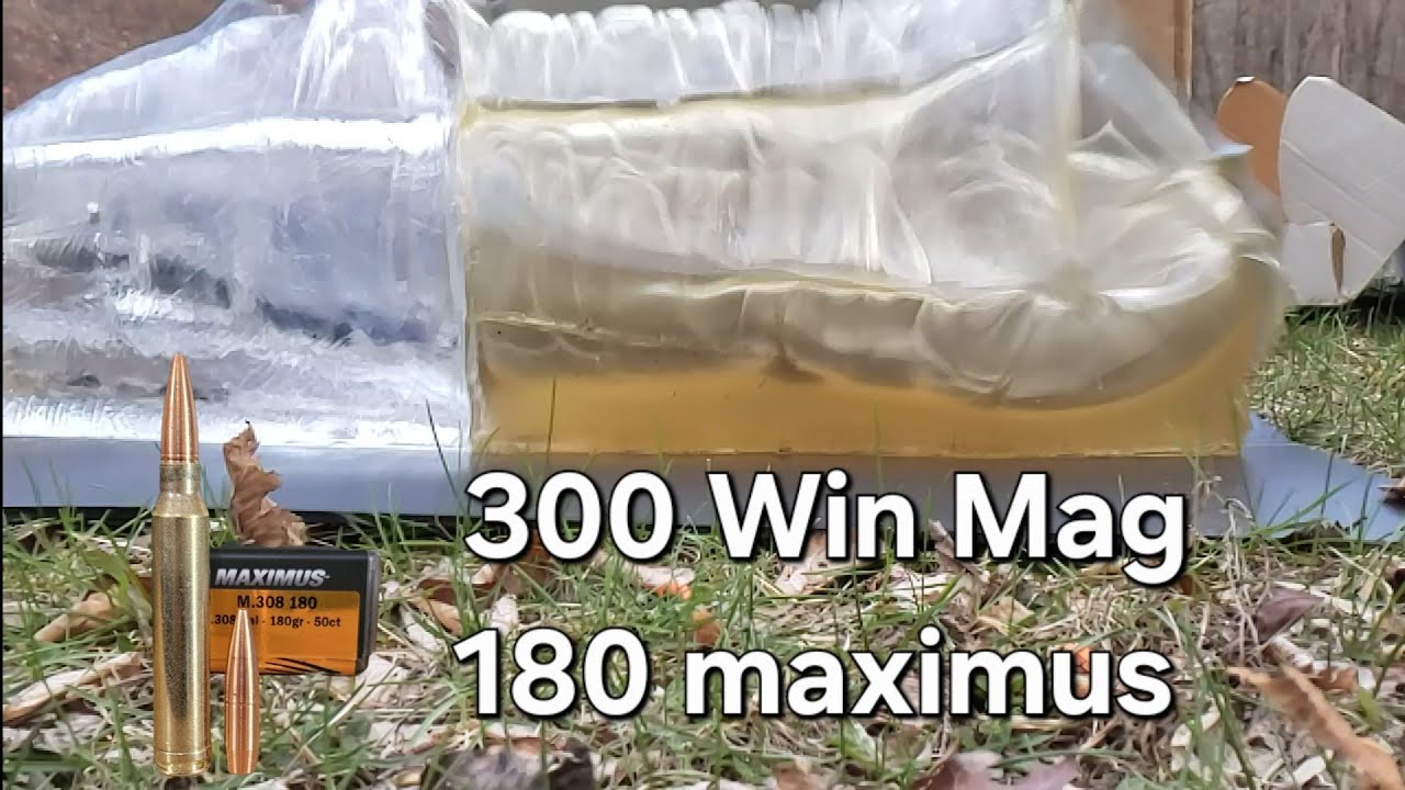 300 win mag: 180 grain cutting edge maximus ballistics gel test.