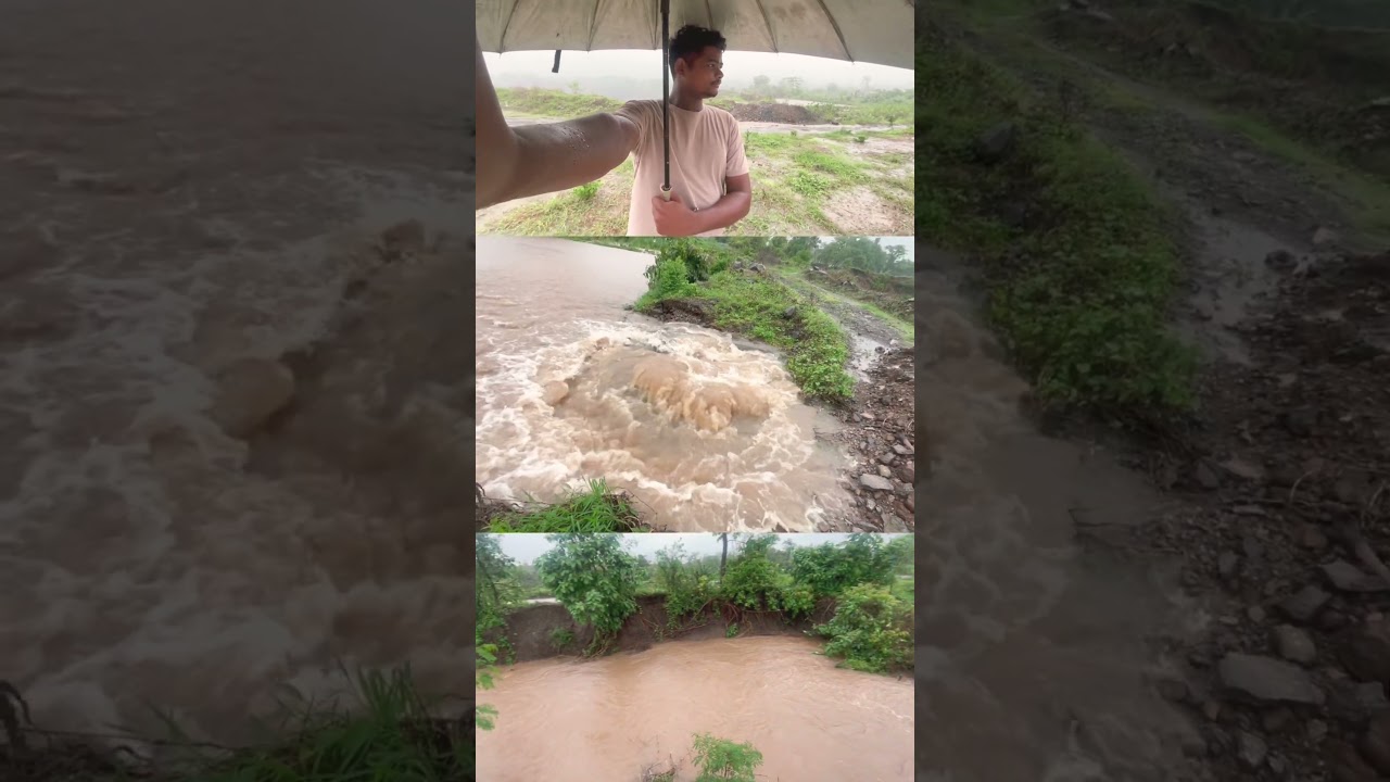 Heavy Rain Turns River Into a Raging Flood! 🌧️🌊 | Nature&rsquo;s Powerful Force #Flood #HeavyRain #Monse
