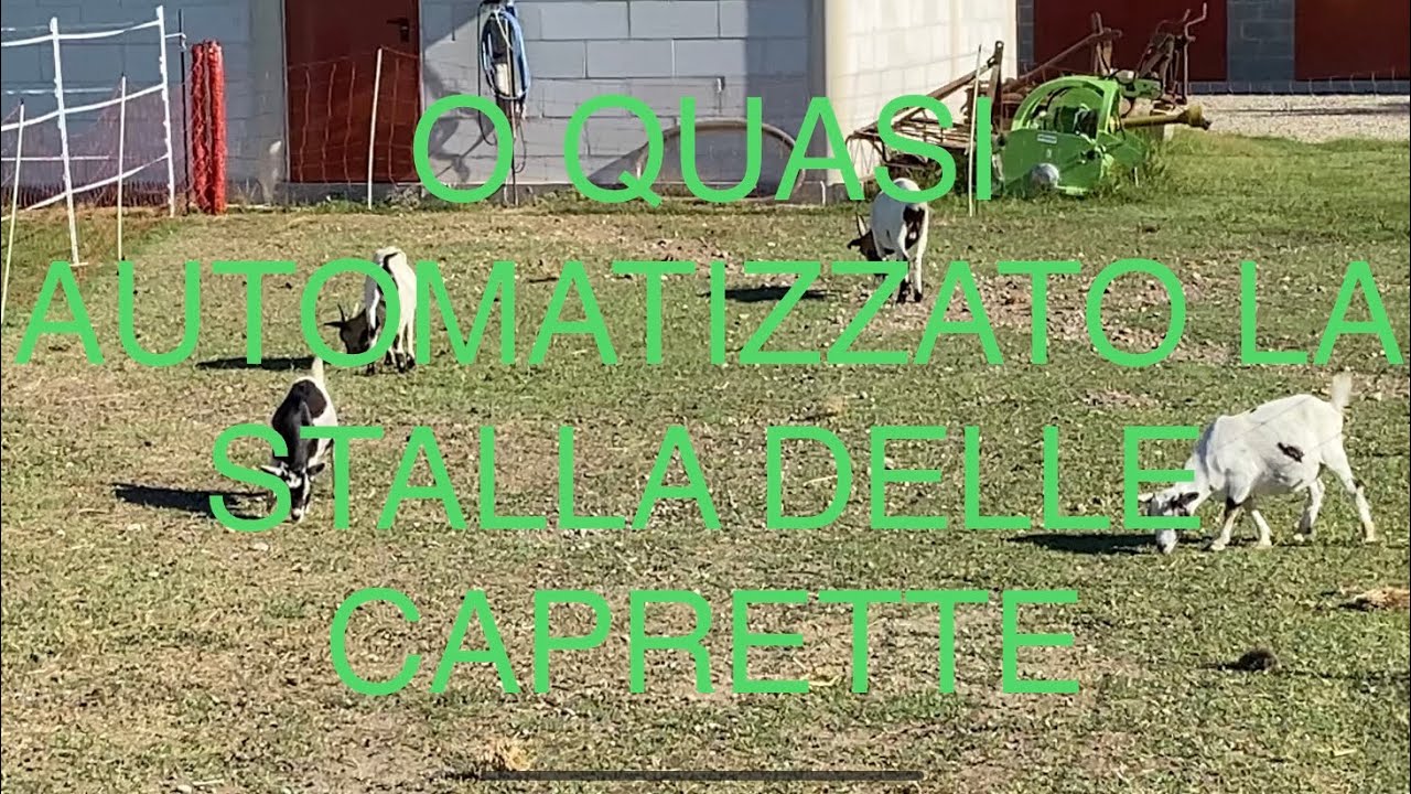 O RISISTEMATO LA STALLA DELLE CAPRETTE !