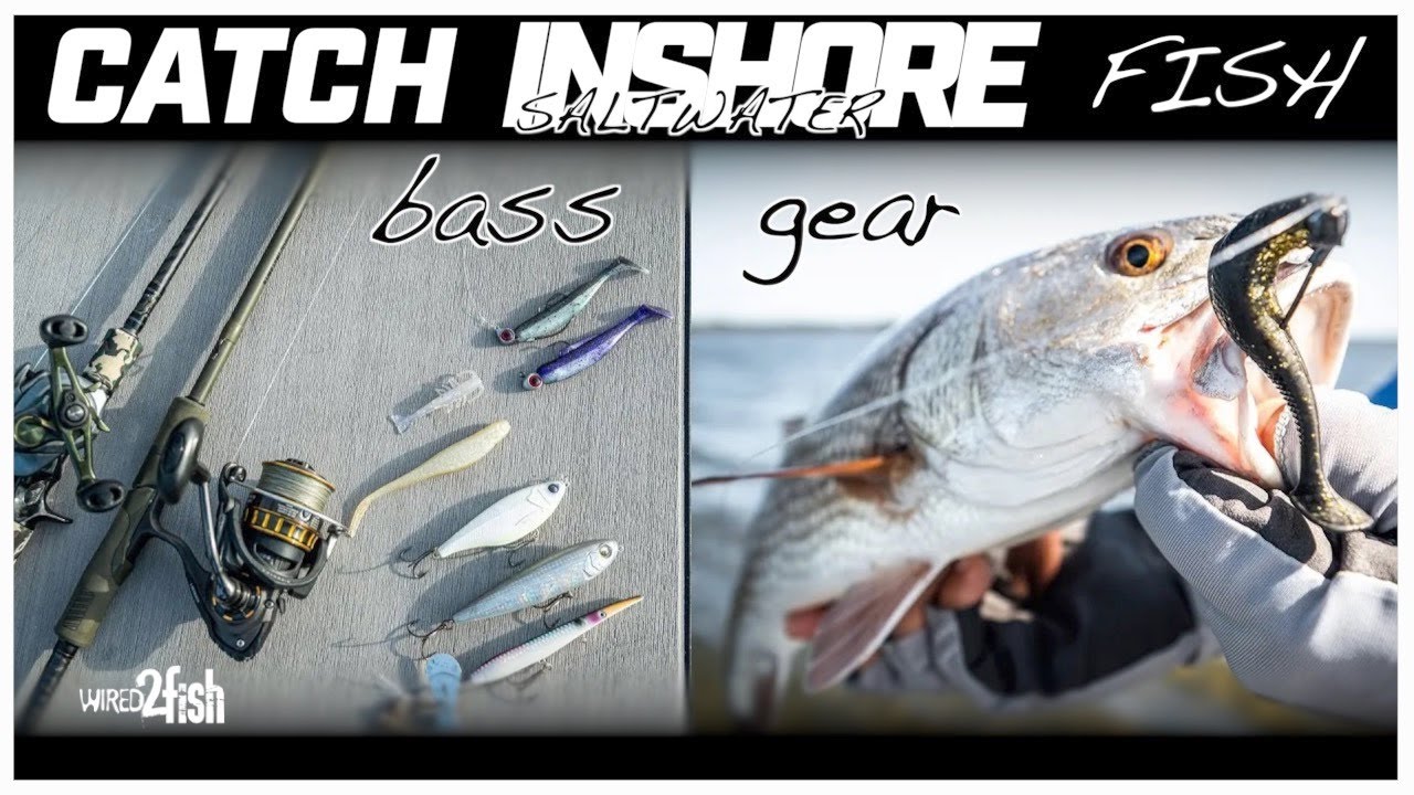 Basic Inshore Saltwater Fishing Tackle | What You Need