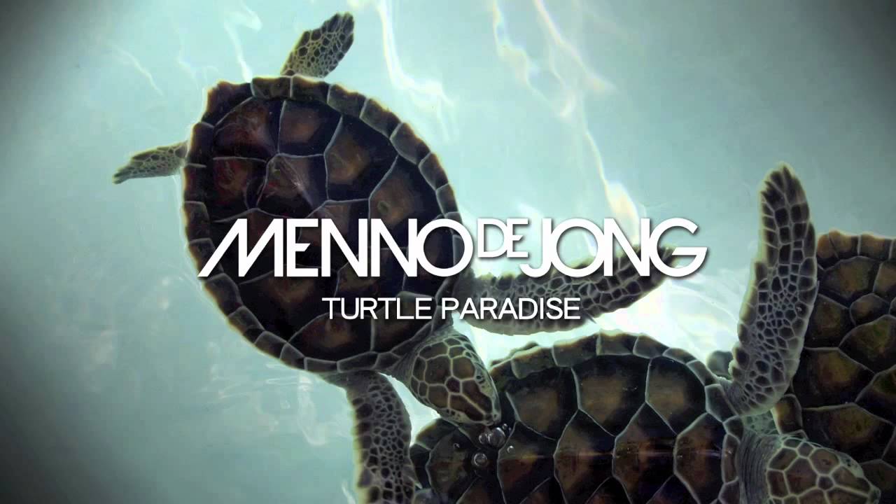 Menno de Jong - Turtle Paradise