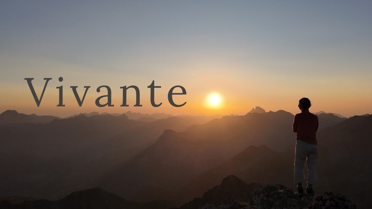 Vivante