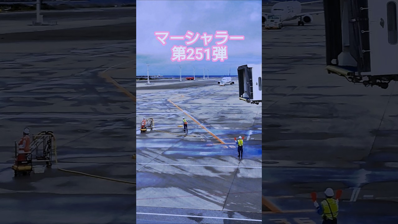 【マーシャラー・第251弾】ANA Boeing737-881がスポットイン！マーシャラーのマーシャリングと前輪タイヤにチョークを嚙ませるところです！いつもグランドハンドリングありがとうございます！