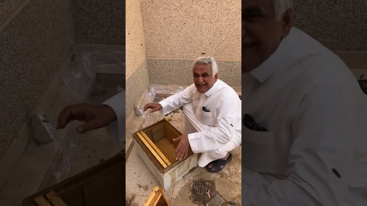 احد طرق ضم خلايا النحل
