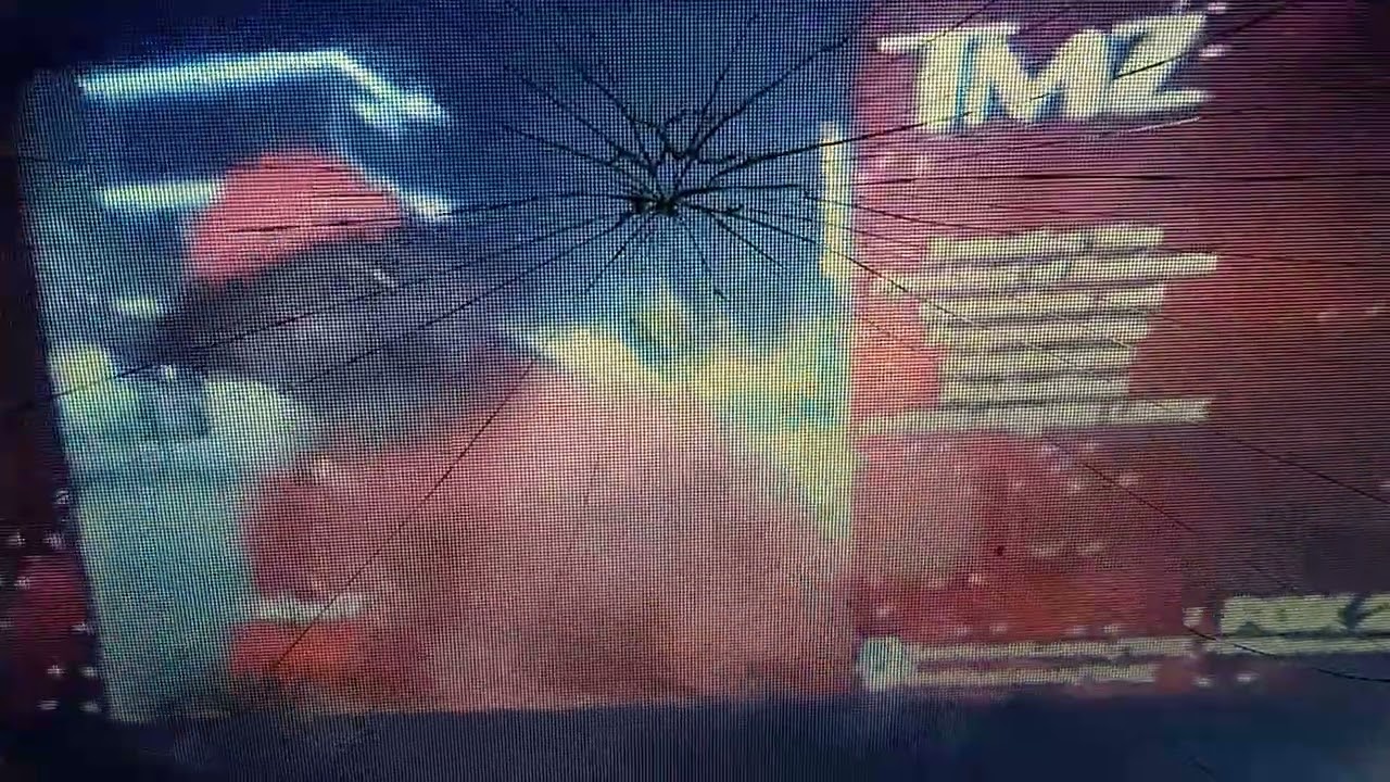 TMZ/Harvey Levin Productions/Paramedia/Telepictures/Warner Bros Television Distribution (2018)