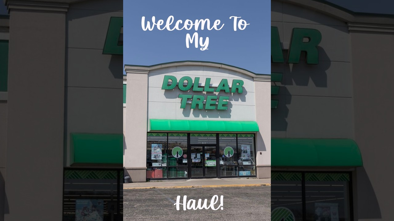 DOLLAR TREE HAUL 🌳 😍 ♥️ 😎 👌 