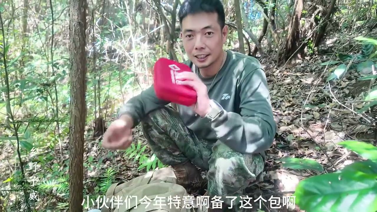 24年的第一标，小蜜蜂遭虎头蜂迫害，子威上山寻蜂遇早期难得“大强群”