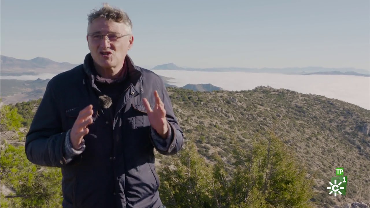 Campechanos | Visitamos Grazalema, Cádiz, para conocer a un panadero artesano