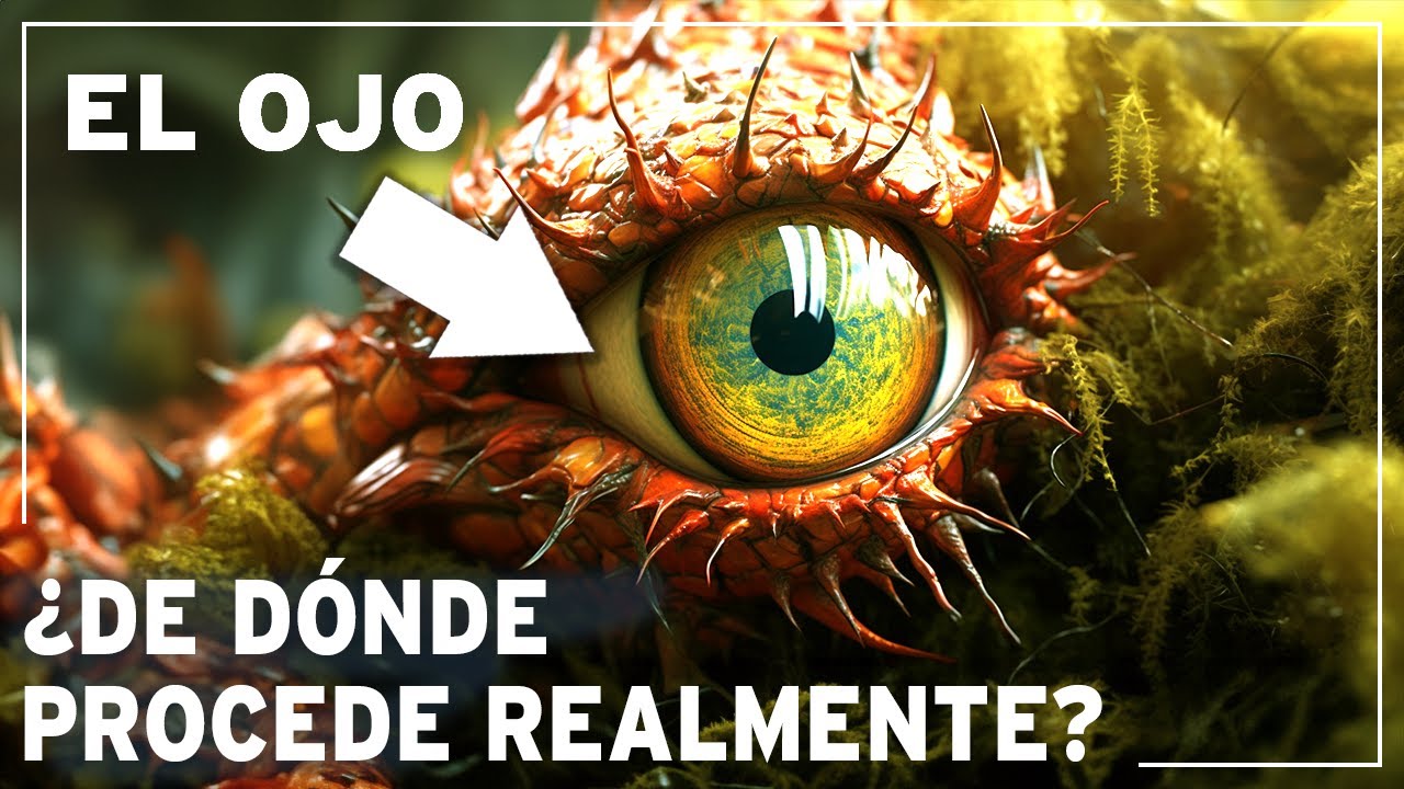 Visi&oacute;n, olfato, tacto, o&iacute;do, gusto: &iquest;de d&oacute;nde proceden REALMENTE? | Documental Espacio