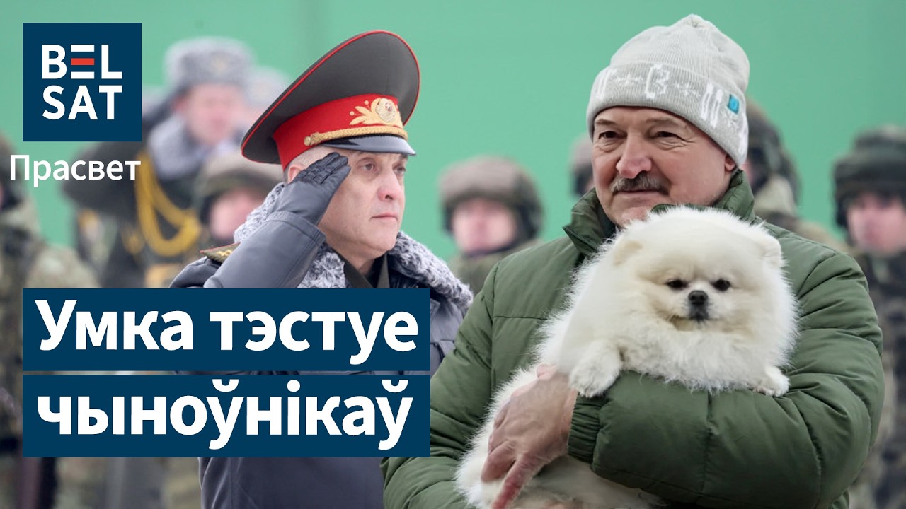 Шпиц – второй по важности в Беларуси. Важнее, чем Вольфович? / Просвет