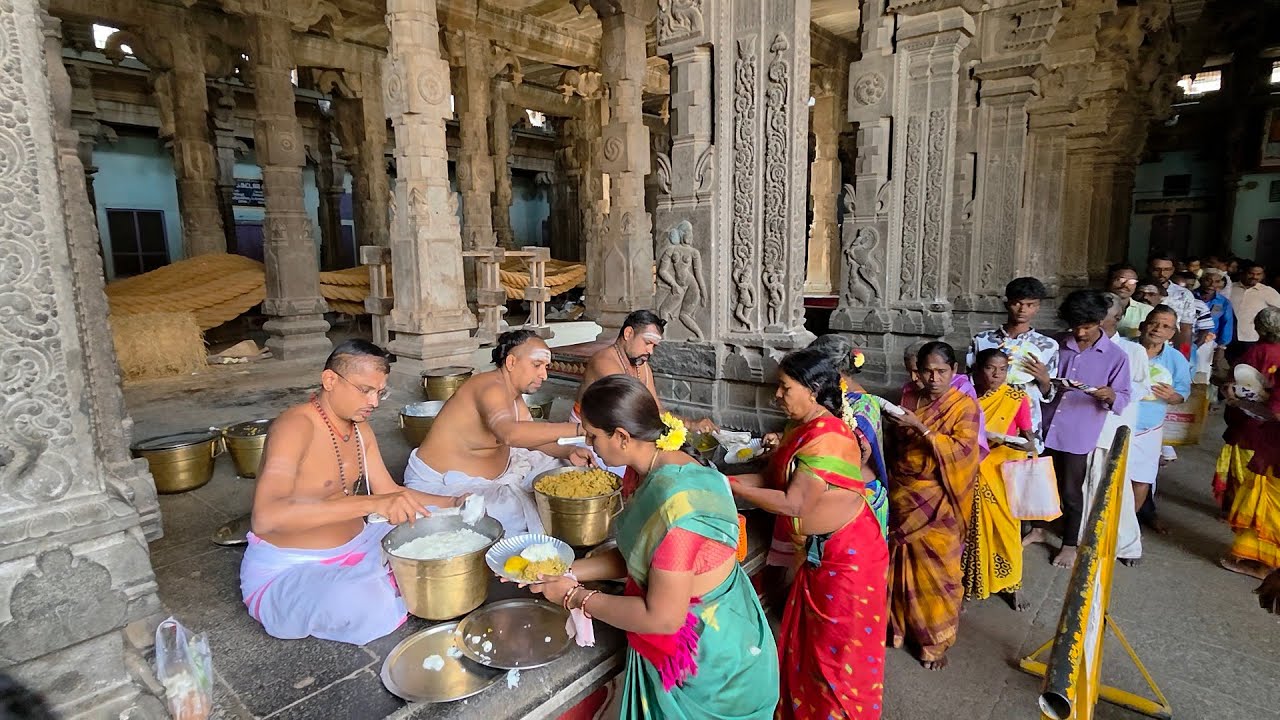 ஸ்ரீ நடராஜர் கோயில் 18.1.26 நிவேதன | பிரசாதம் | பக்தர்களுக்கு வழங்கப்பட்டது