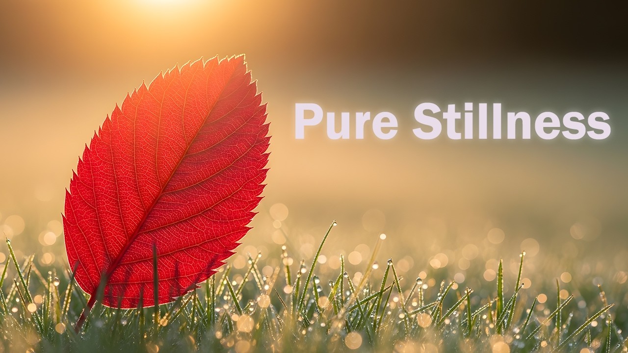 Gentle Acoustic Guitar and Piano – Relaxing Music for Deep Sleep and Concentration