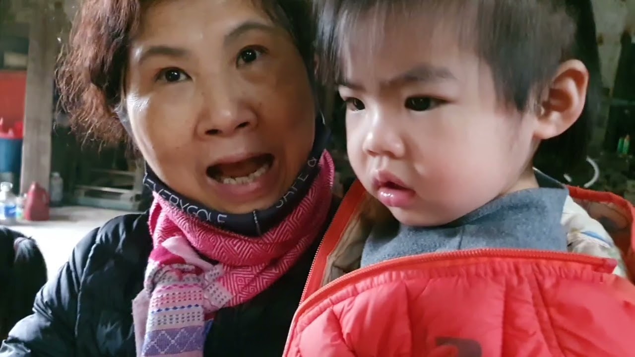 Mina thăm đàn chó của ô bà