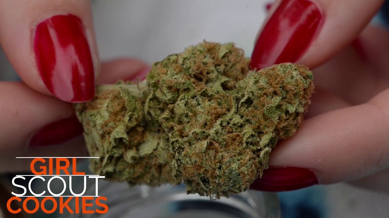 Toking Tylor Reviews President Seeds Royal Wedding Cake