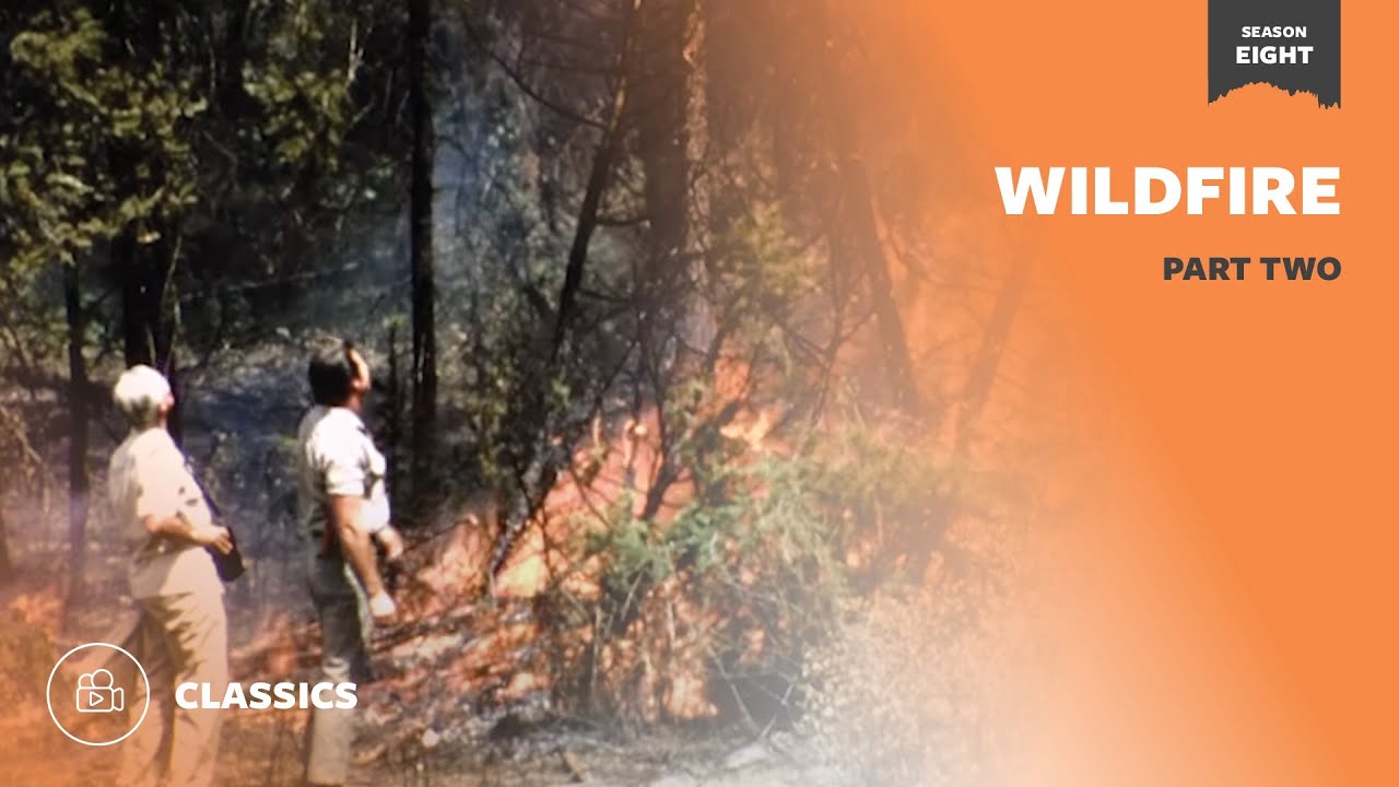Wildfire Part 2 | Mutual of Omaha's Wild Kingdom