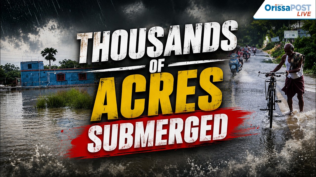 Dhamnagar rivers overflow, thousands of acres submerged | Farmers demand compensation