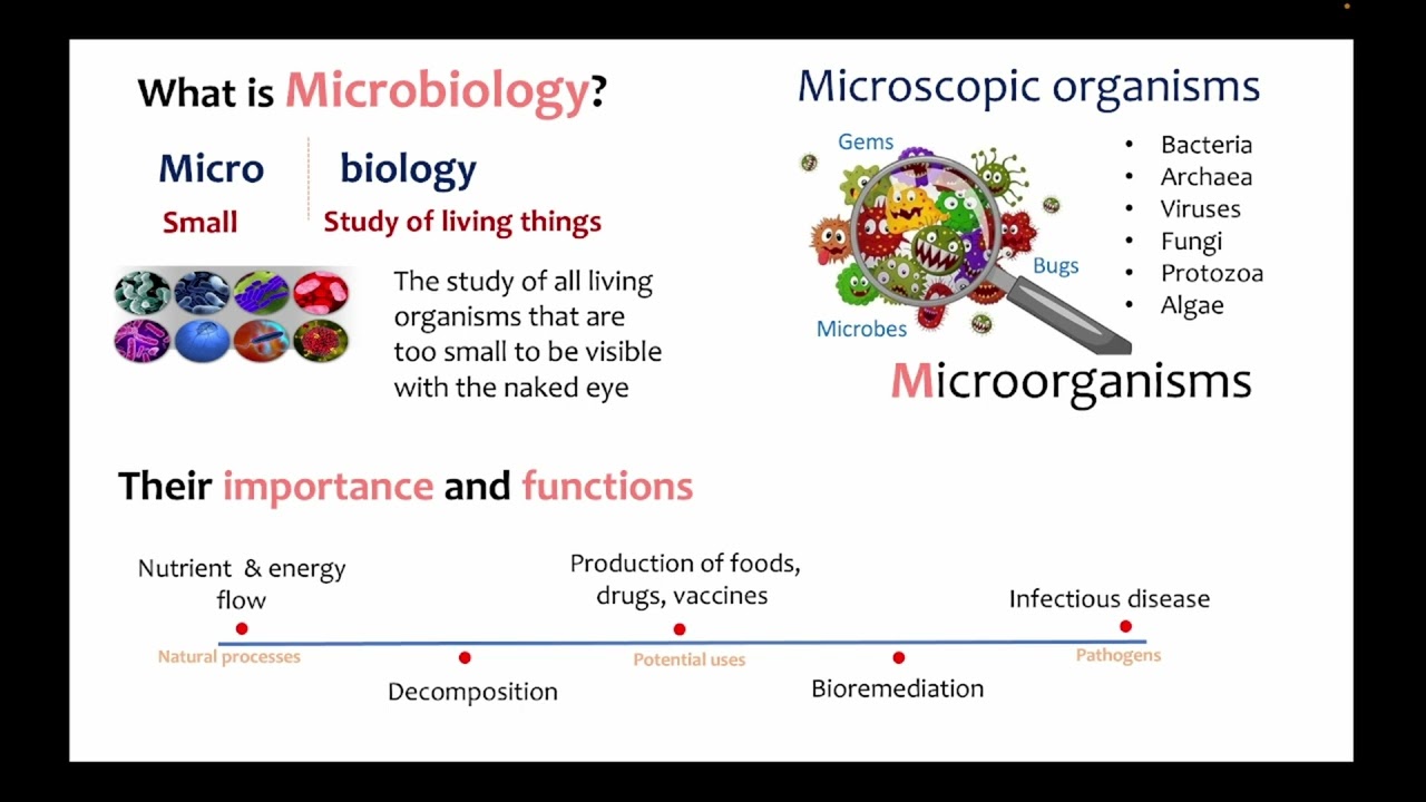 SIR1001 Lecture 1 Fundamental Microbiology