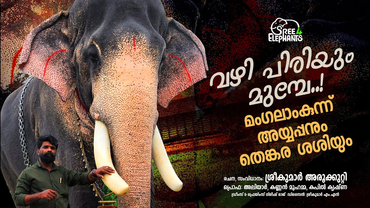 നമ്മളോടുള്ള വാശി അയ്യപ്പൻ ചങ്ങലയിൽ തീർക്കും... ചോര ചീറ്റും...!