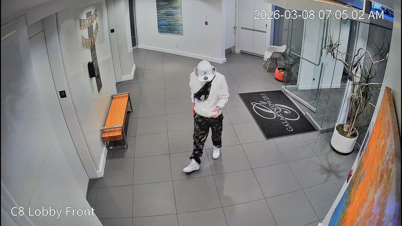 Caught on Camera: Amazon Package Theft in Building Vestibule | March 8, 2026