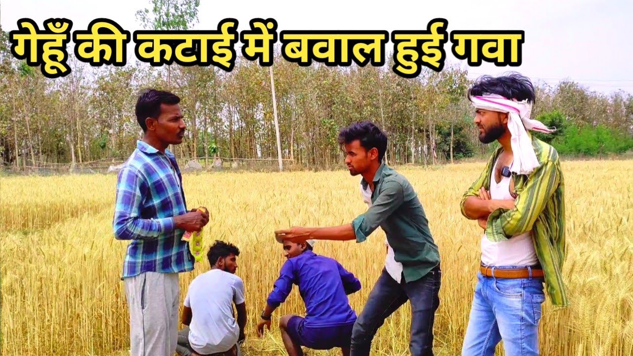 गेंहूँ की कटाई मा बिलान दास अव बिगाड़ू कै झगड़ा हुई गवा देशी अवधी काॅमेडी वीडियो 2024