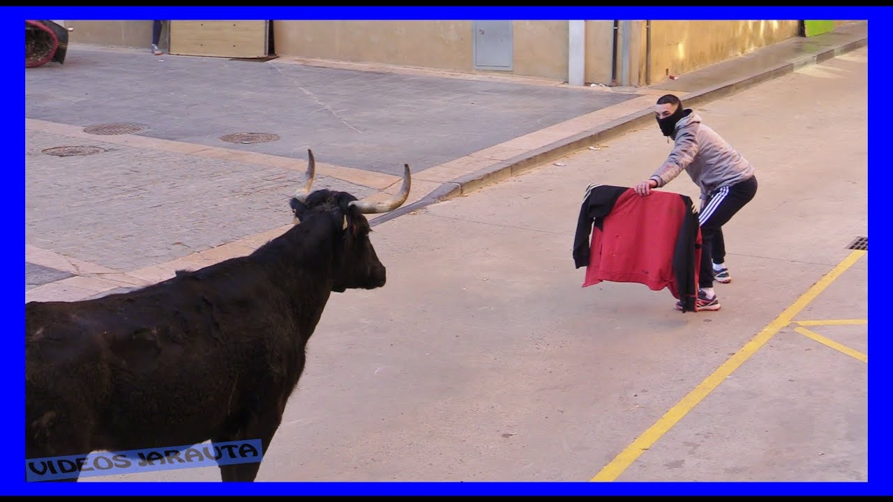 CARIÑENA ( ZARAGOZA ) TARDE VACAS EN LA CALLE ( SABADO 28 ENERO 2023 ) GAND.JAVIER SORIA