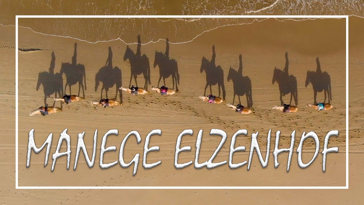 Manege Elzenhof  |  Paardrijden Texel  |  Pferd Reiten Texel  |  Horse Riding Texel  | Strandritten