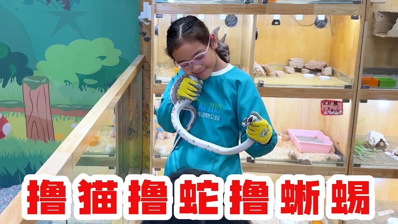 带心心悦悦去动物园撸蛇撸猫撸蜥蜴，真实太胆大了