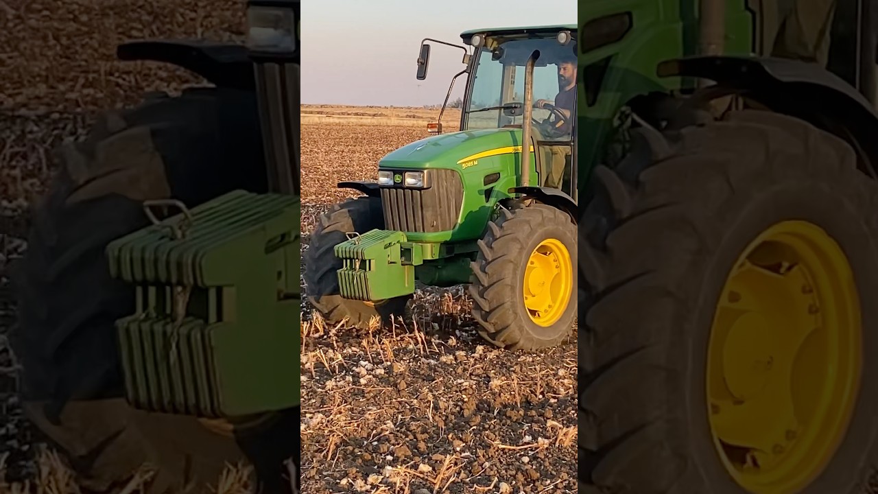 JOHNDEERE 5085M İLE MİBZERLEN BUĞDAY EKİMİ.✅💚 #johndeere #johndeere5085m#mibzer#buğday#trakt&ouml;r#ekim