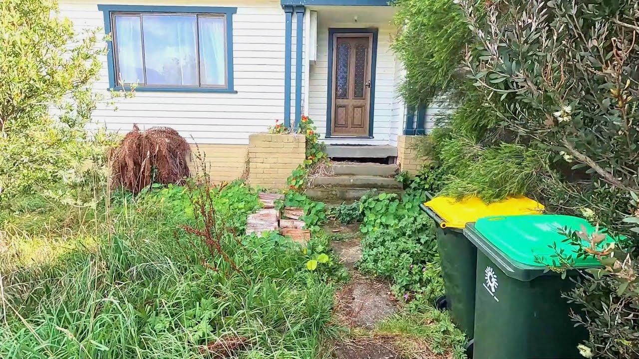Saving a NEGLECTED yard for a homeowner with POOR HEALTH!