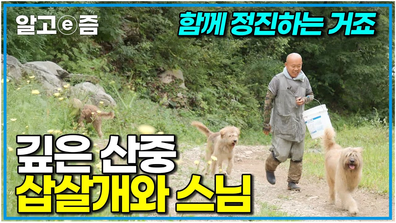 삽살개와 스님의 산속 생활, 자연과의 완벽한 조화 속에서의 평화로운 하루｜한국기행｜알고e즘
