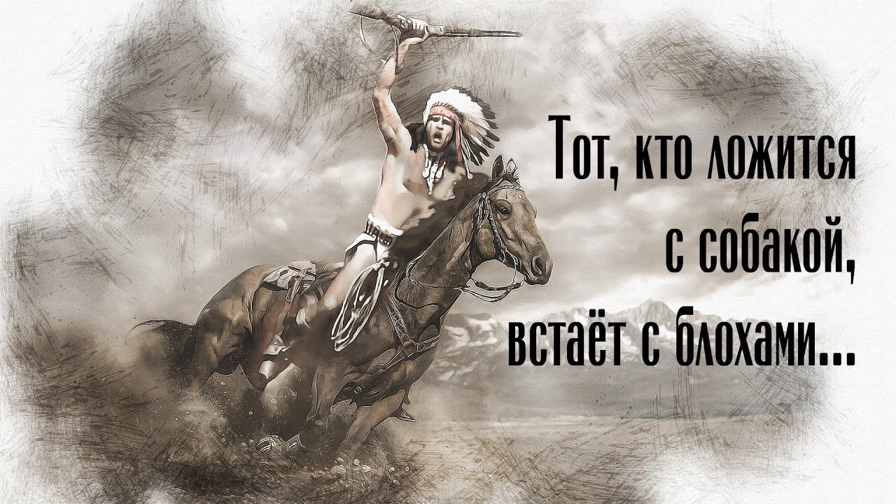Индейские пословицы и поговорки – мудрые мысли индейцев Северной Америки