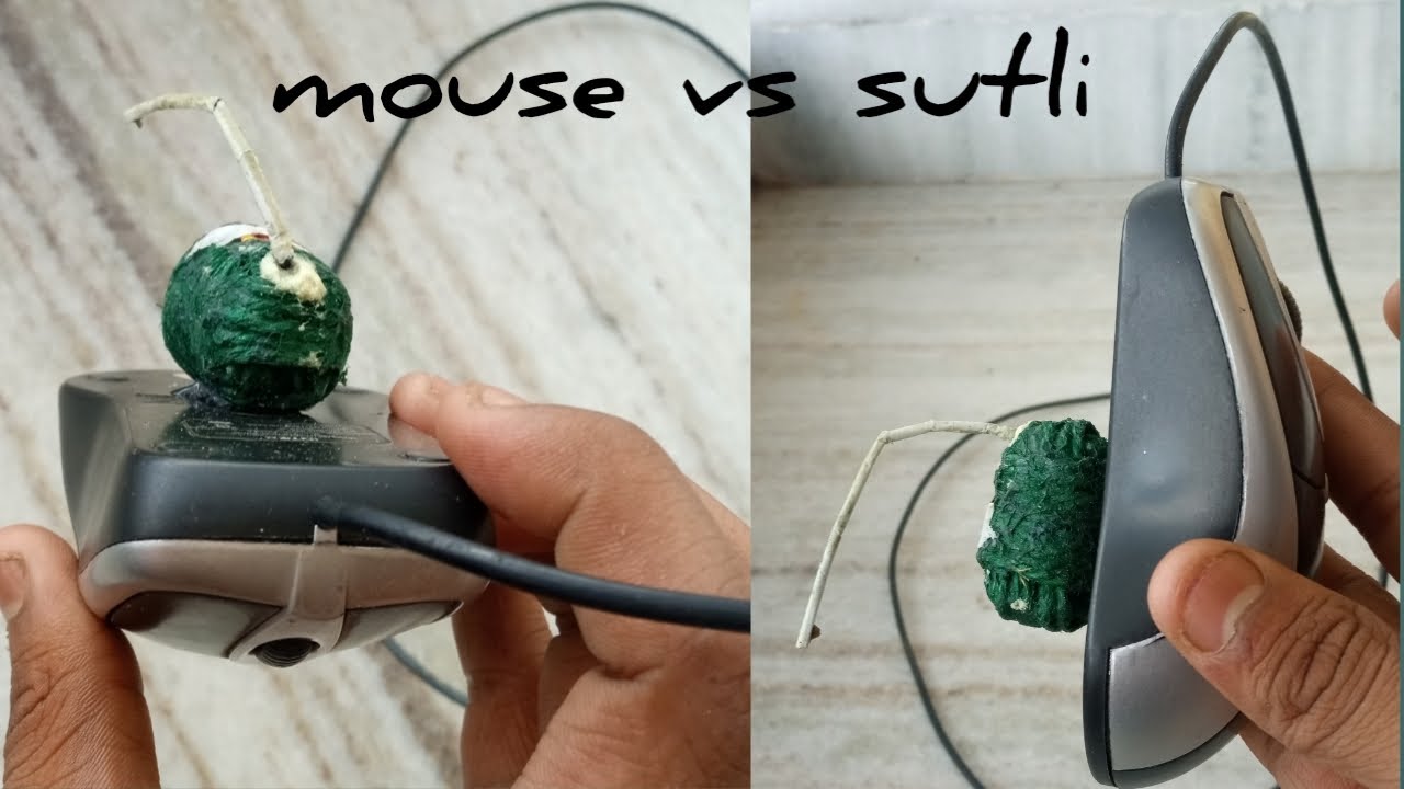 mouse vs sutli bomb experiment || mouse experiment || new experiment ||