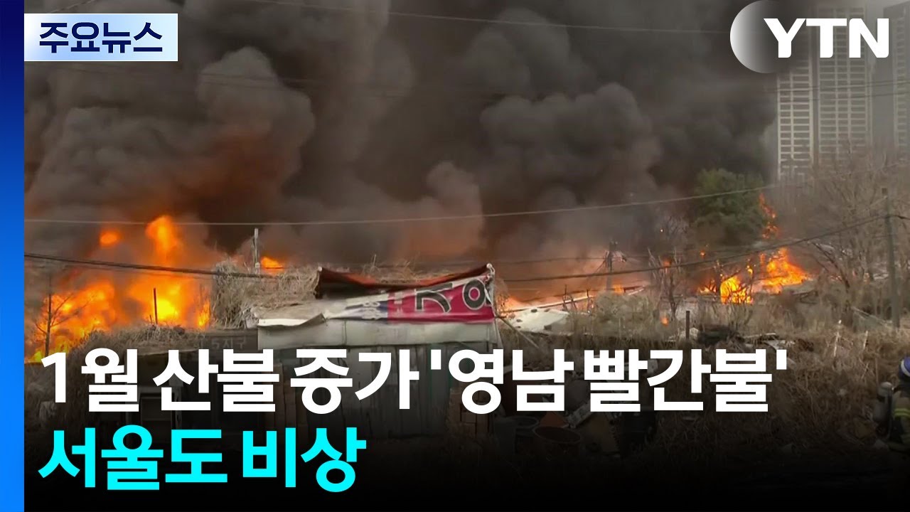 추위 속 1월 산불 예년보다 증가 ’영남 또 빨간불’...서울도 비상 / YTN