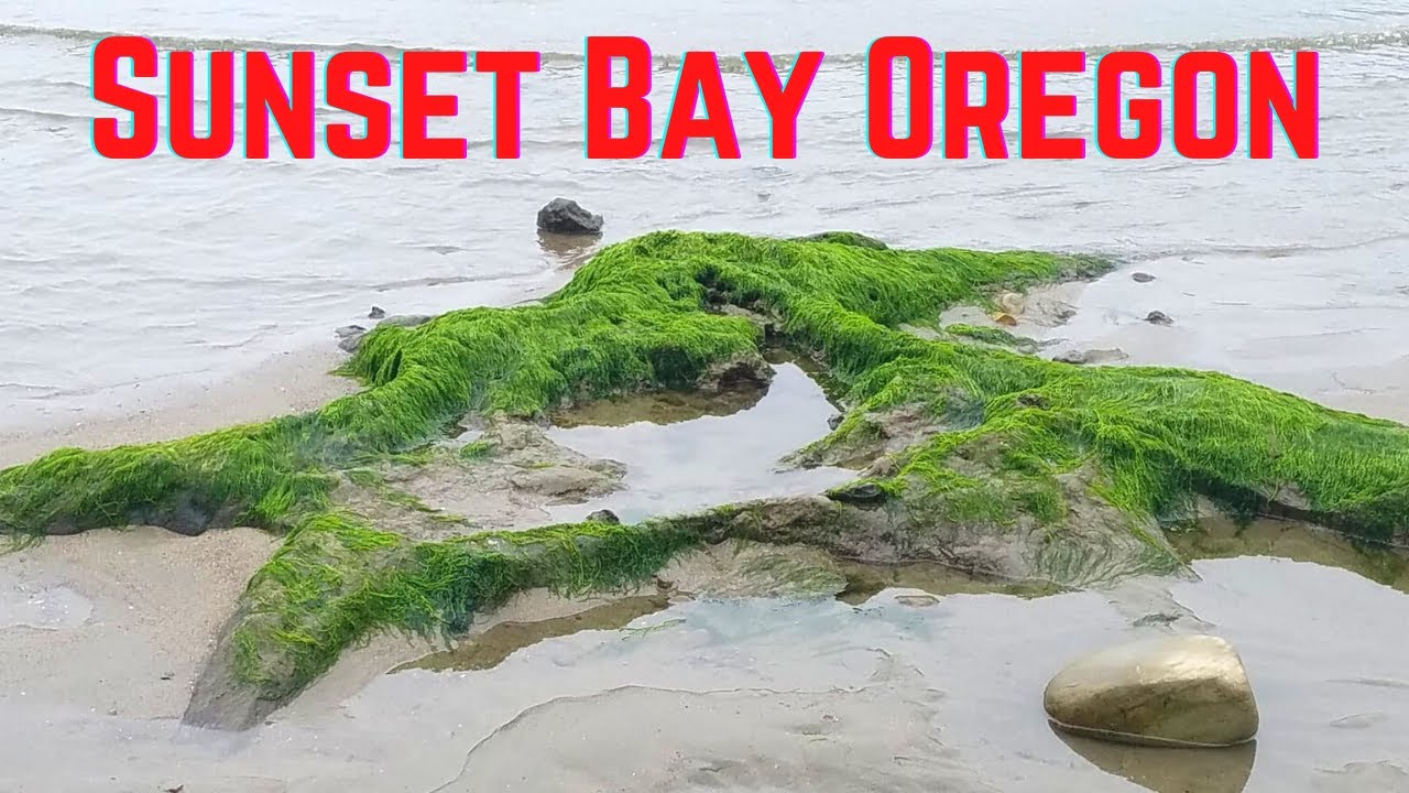 Sunset Bay  in Coos Bay and All of it's Wonders!!!!