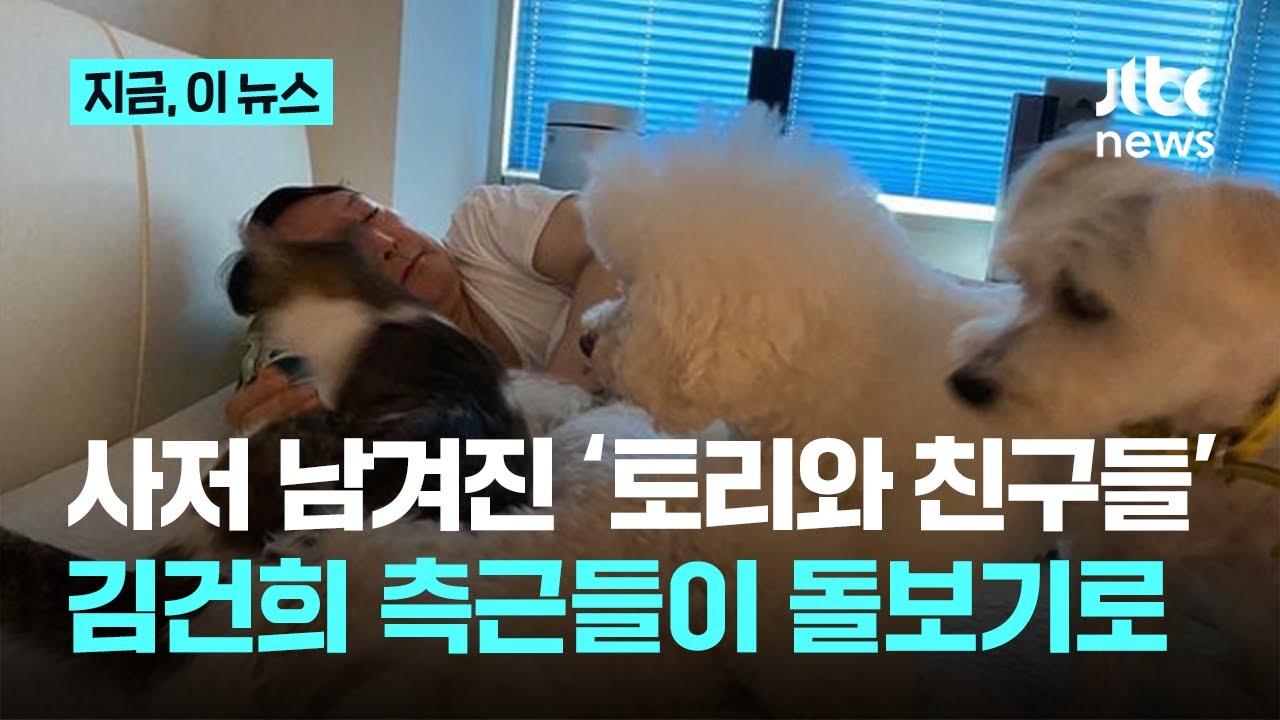 윤석열 부부 구속으로 주인 잃은 반려동물 11마리…김건희 측근들이 돌본다｜지금 이 뉴스