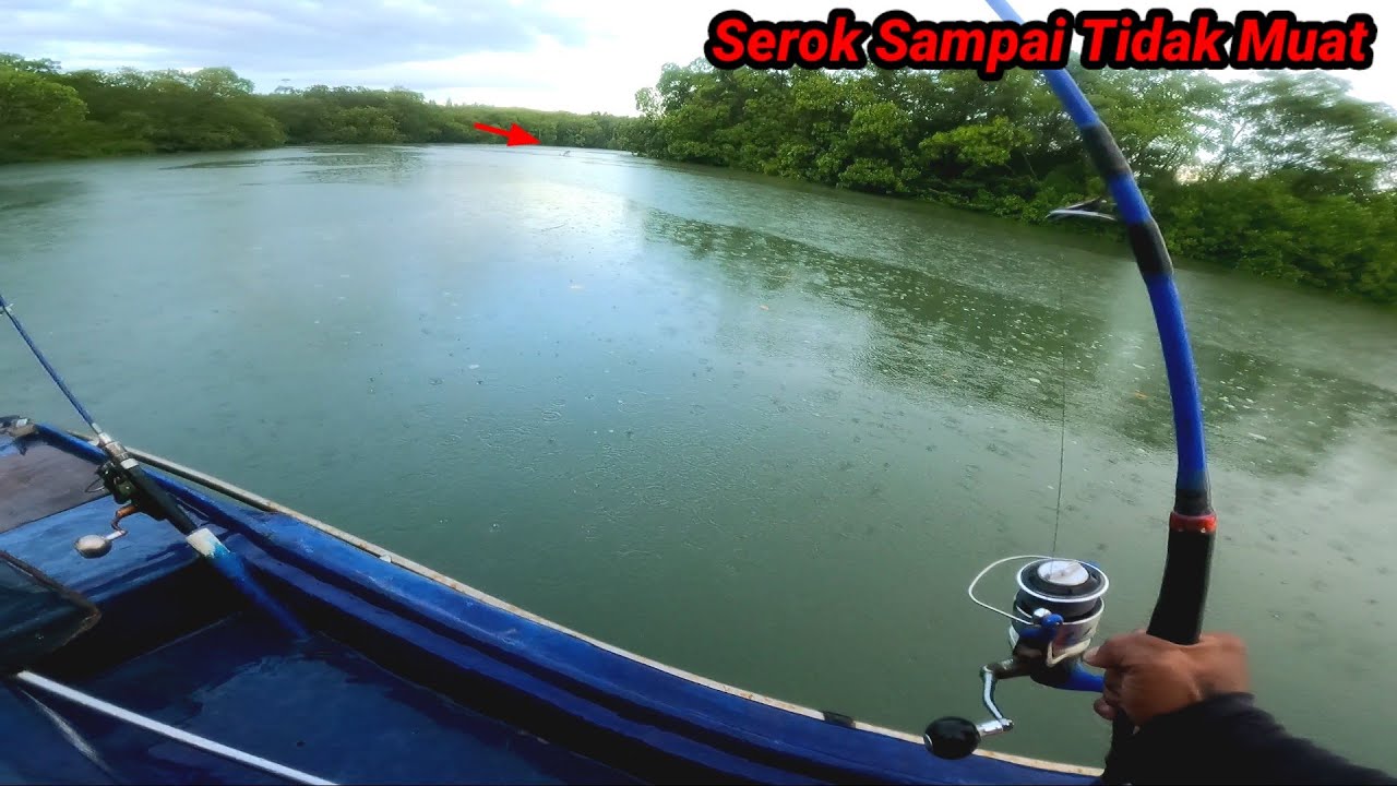 ikan Monster Melompat Joran Sampai Susah Di Cabut, ikan Terlalu Besar Sampai Tidak Muat Di Serok
