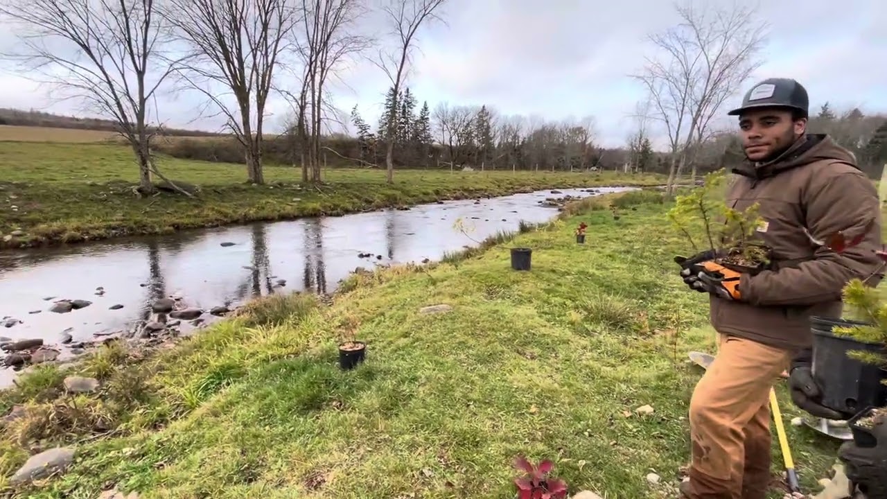 Conservation group improving fish habitat and pasture management