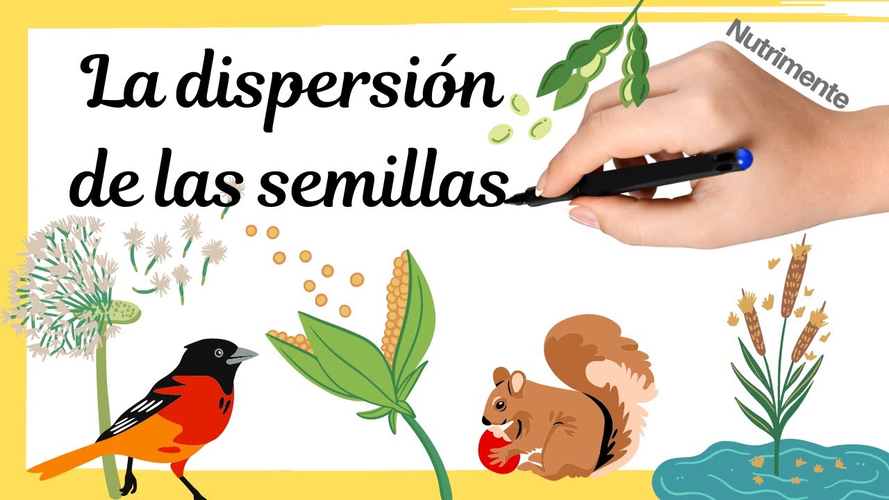 La DISPERSIÓN de SEMILLAS
