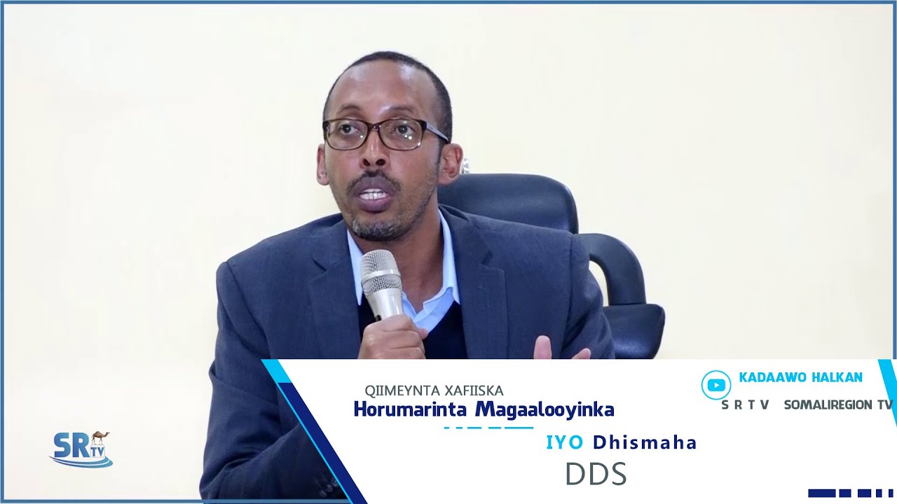 QIIMAYNTA XAFIISKA HORUMARINTA MAGAALOOYINKA DDS