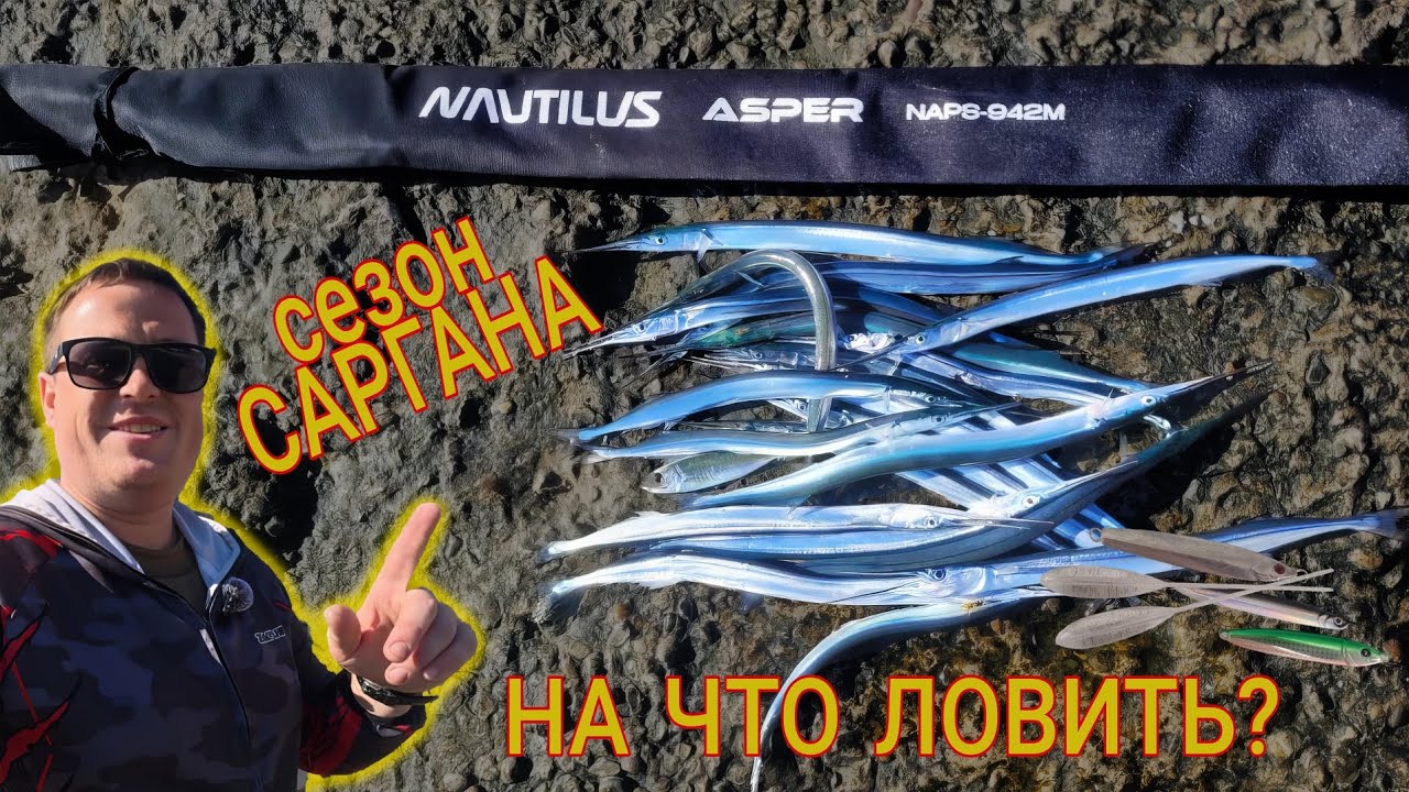 На что ловить саргана? Самая полезная рыба чёрного моря. Пилькера или бомбарды, что выберешь ты?