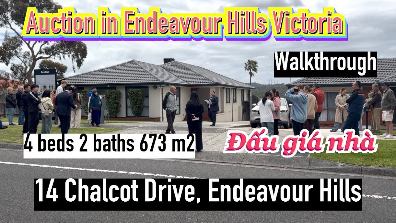 #198. Đấu giá nhà vùng Endeavour Hills Victoria. Walkthrough ,auction house in Melbourne Australia