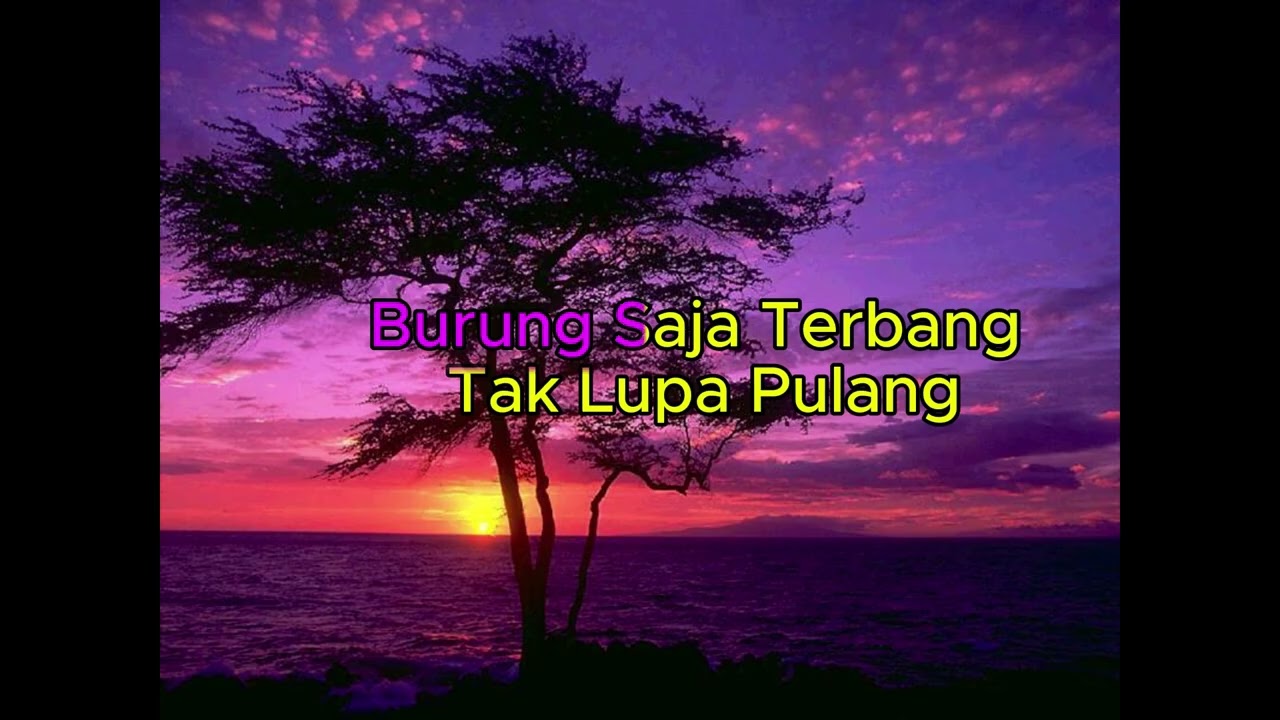 BURUNGPUN INGAT PULANG3