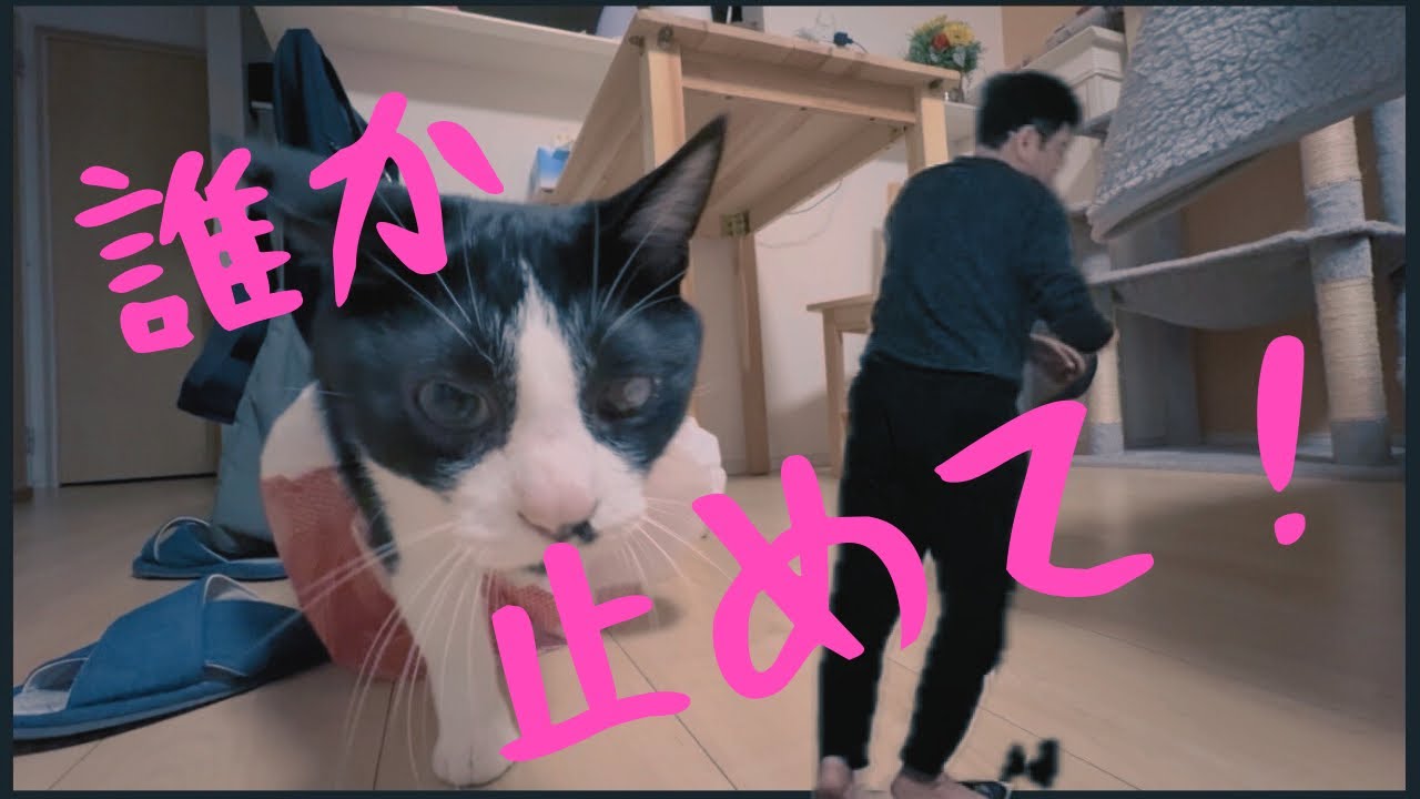 【緊急】誰か止めてください！