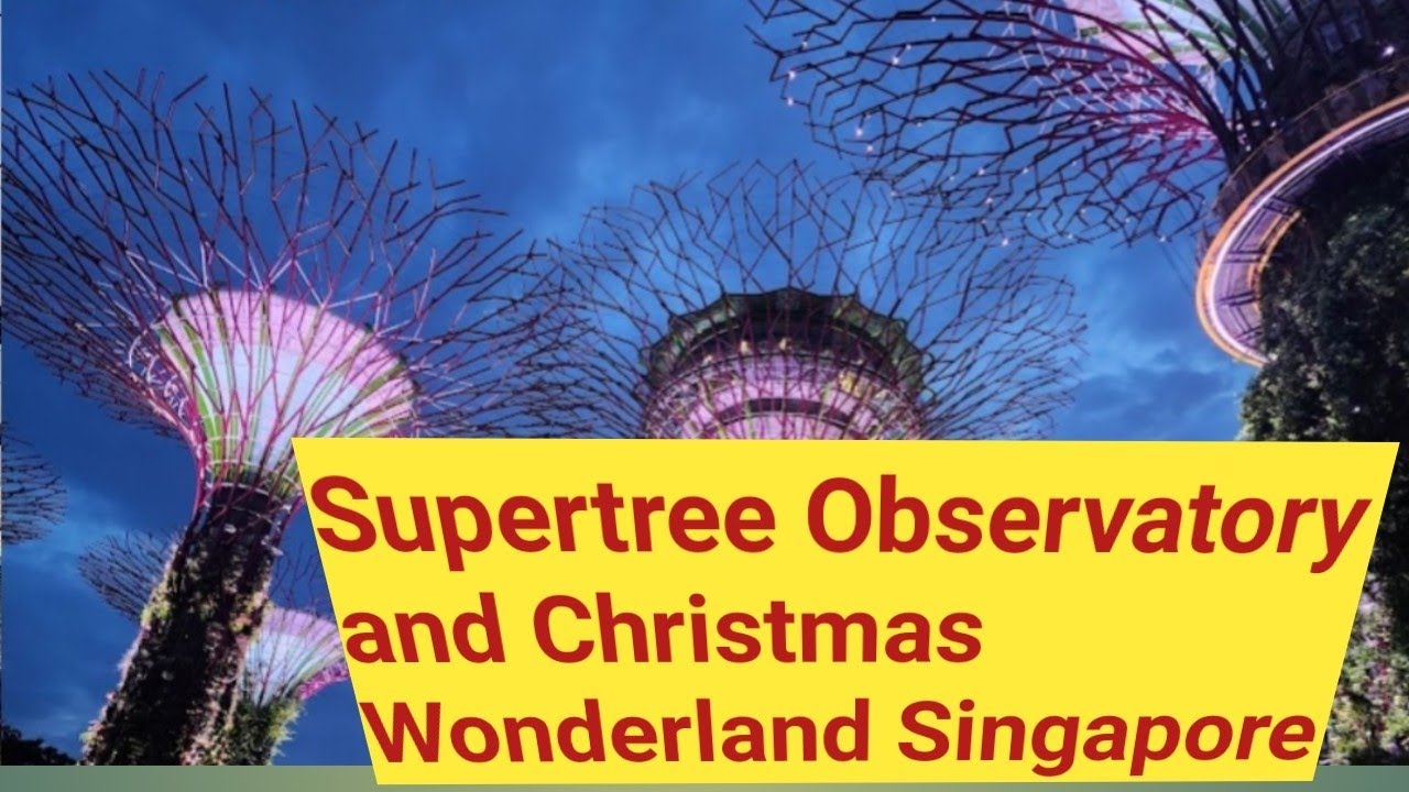 Supertree Observatory Light Show and Christmas Wonderland at Garden By The Bay in Singapore